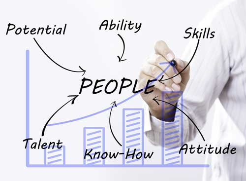 Executive Search